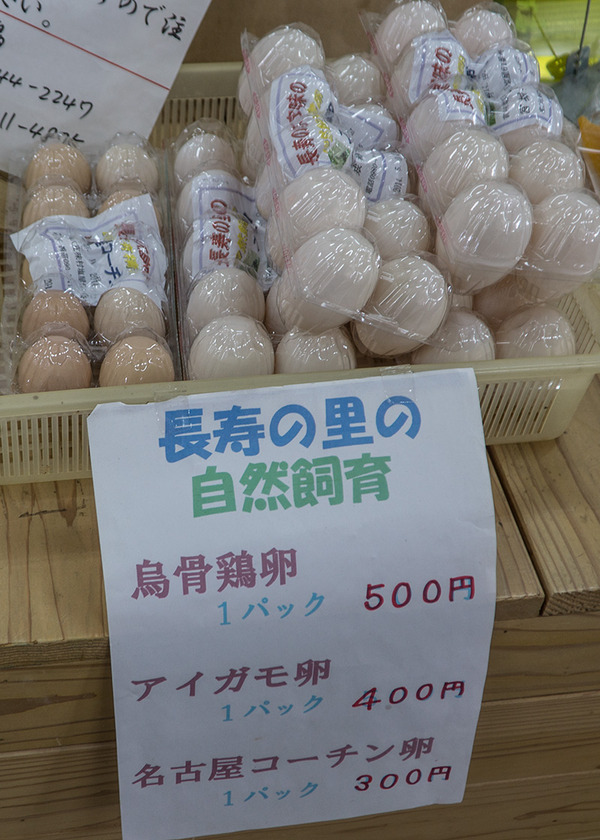 002egg_oogimi