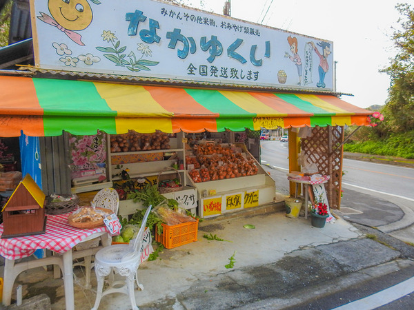 mikan_nakayukui_fasard