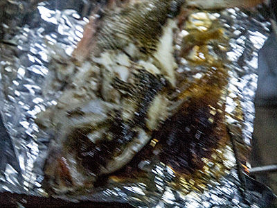 fire_fish_yagajibeach