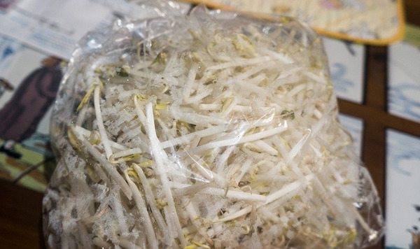 moyashi01_140922