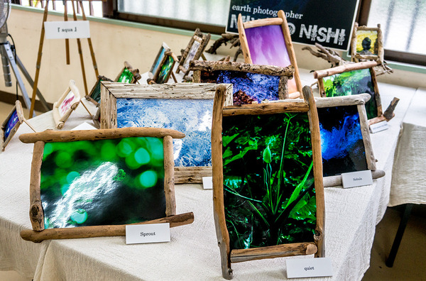 nishi00_bise2014