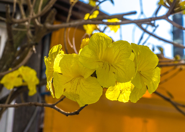 fl_ipe_z3_140228