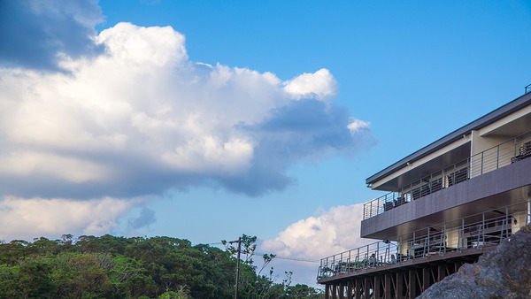 majikasi2_guhikumui141106