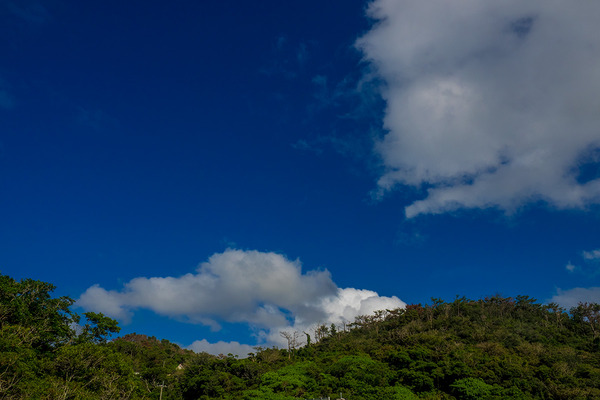 uragushiku_bridge_mt2_160920