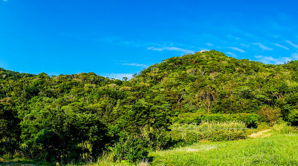 uragushiku-mt