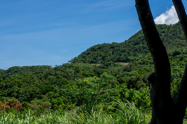 majikasi_gushikumui_akaifolk