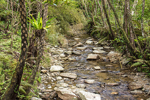 61hego_river_hukugawaf_121106