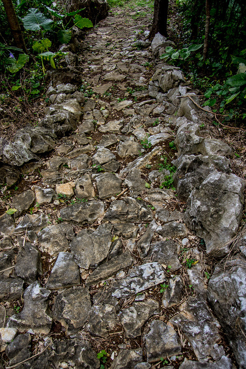156_karusuto_gushikumui