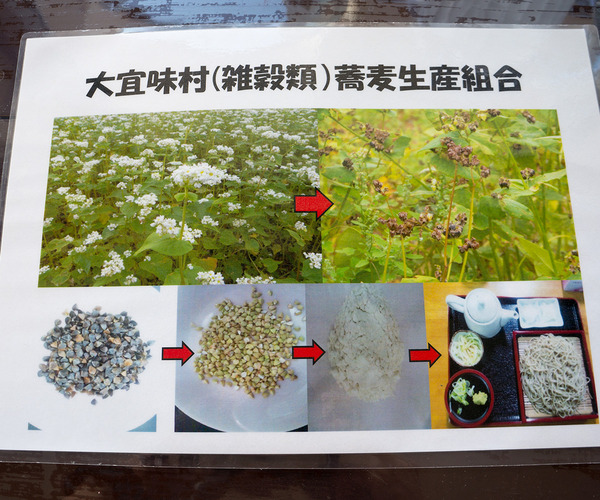 soba_info2_byubyu