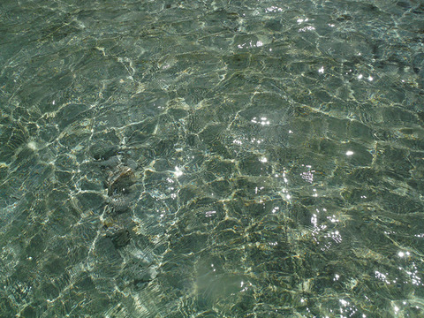 ripple2