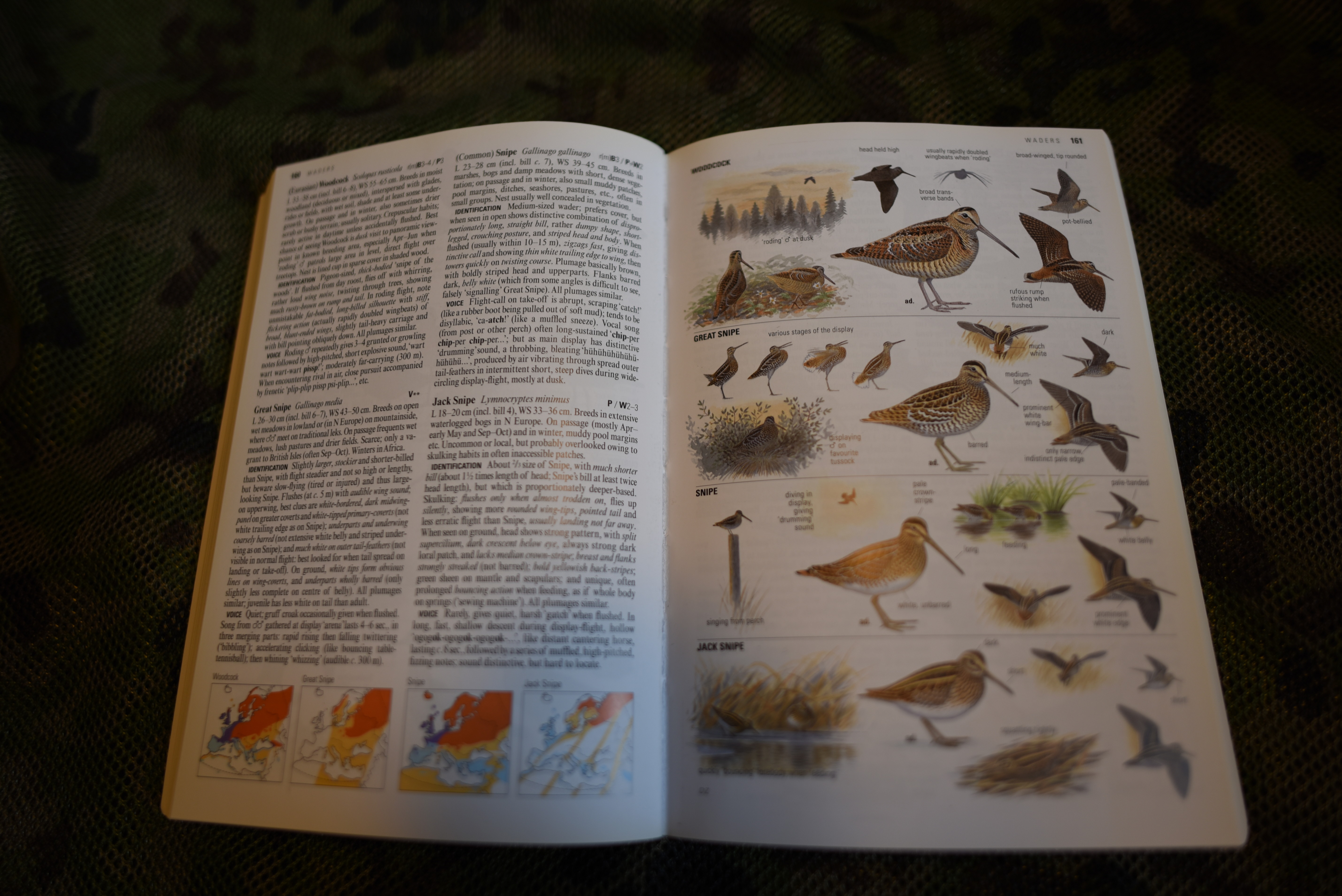 私の鳥の蔵書たち 沖縄のとくに水鳥日記 私の鳥の蔵書たち 沖縄のとくに水鳥日記