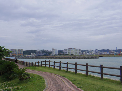IMGP2546