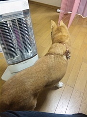 プー⑧