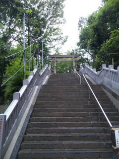 SH3801630001