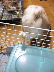 HOPE⑩