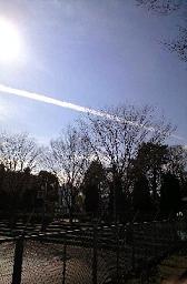 92c3239b.jpg