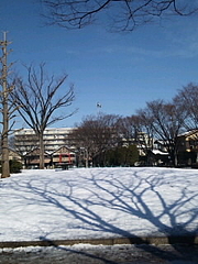 SH380731
