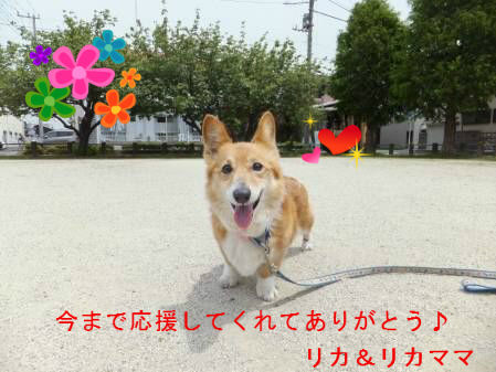 2014062401