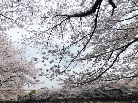 2013033005