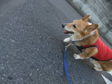 2010.11.24-01