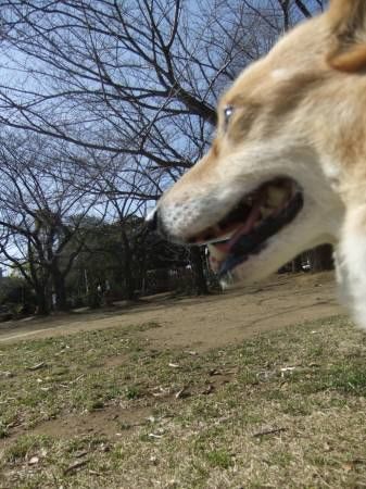 2011.03.27-01
