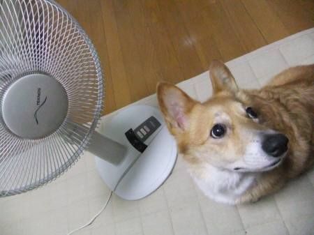 2011.07.27-04