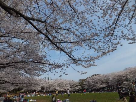 20140401509