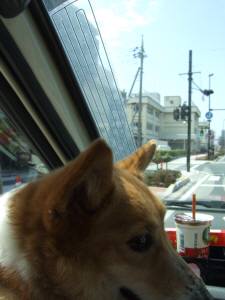 2010.04.11-01
