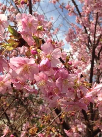 2014030302