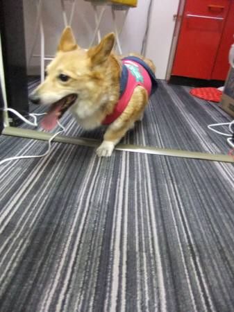 2010.08.25-11