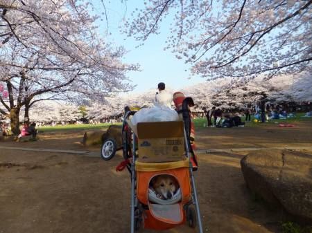 20140401524