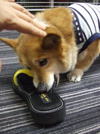 2010.04.20-03