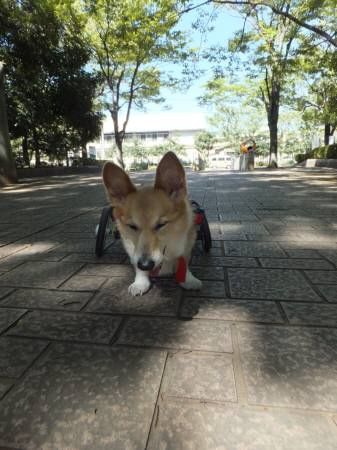 2013092705