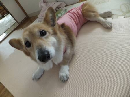 2014022401