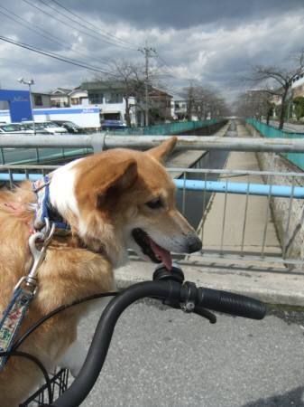 2011.03.23-03