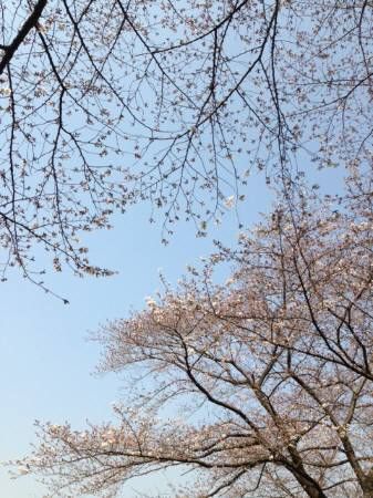 20140328060