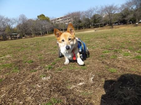 2014022609
