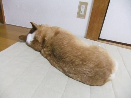 2011.10.27-04