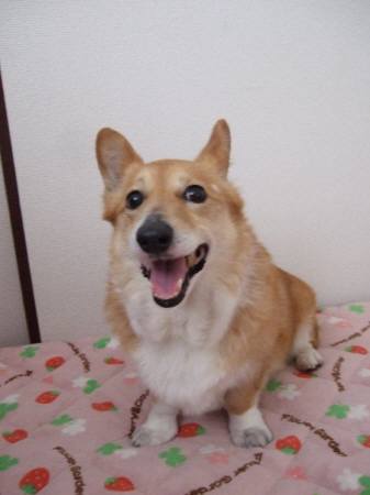 2010.06.20-01