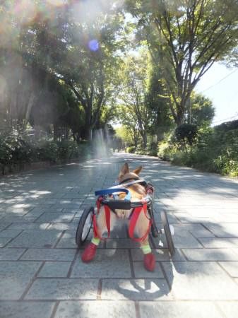2013092701