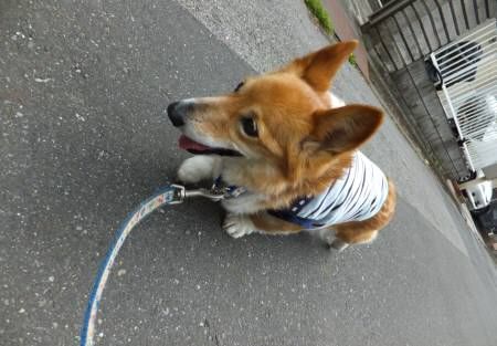 2012.04.30-03