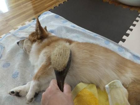 2014061501