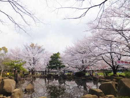 2013033003