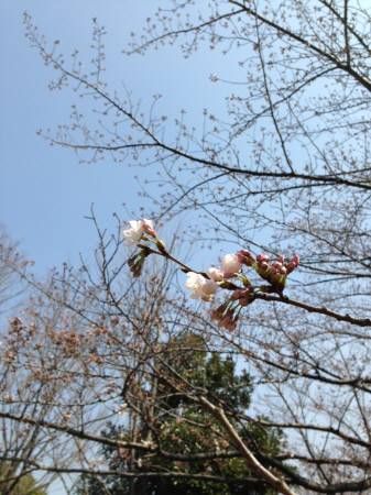 20140328052