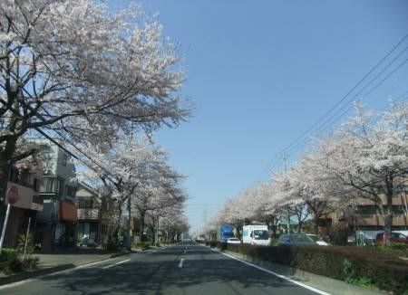 2011.04.12-07