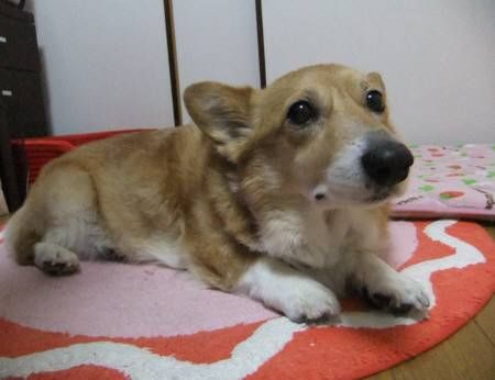 2010.08.27-01