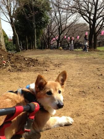 20140328053