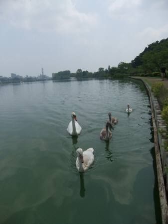 2010.07.25-05