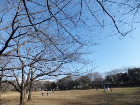 2011.12.31-01
