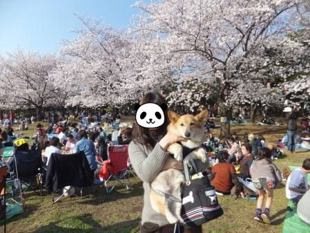 2012.04.08-08